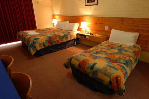 Barossa Motor Lodge - Tourism Adelaide 4