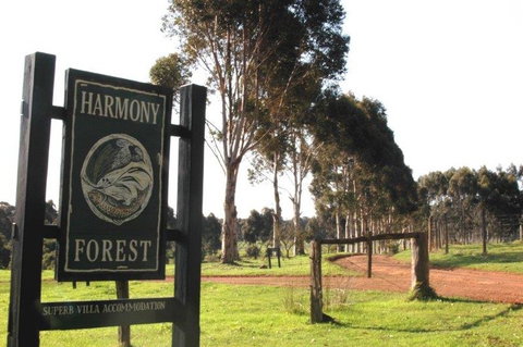Harmony Forest - Tourism Adelaide 0
