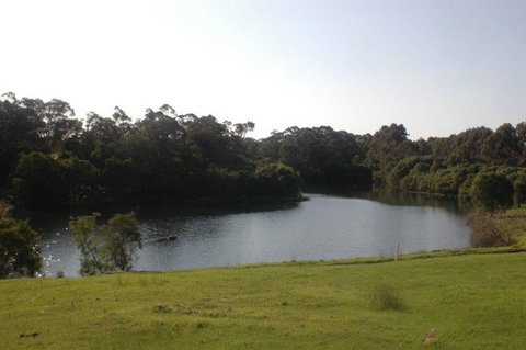 Harmony Forest - Tourism Adelaide 1