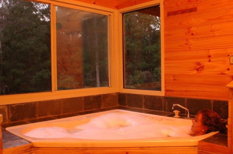 Harmony Forest - Tourism Adelaide 3