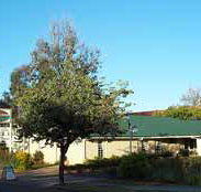 Riverland Motor Inn - Tourism Adelaide