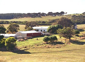 Sun Valley Eco Farm - Tourism Adelaide 0