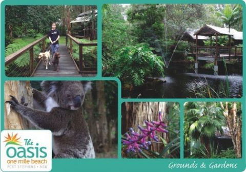 The Oasis At One Mile Beach - Tourism Adelaide 3