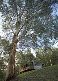Noojee VIC Tourism Adelaide