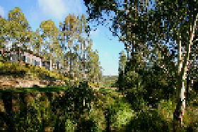 Rossarden TAS Tourism Adelaide