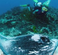 Heron Island Resort - Tourism Adelaide