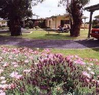 Brigadoon Holiday Units - Tourism Adelaide