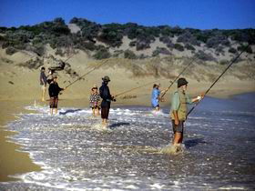 Flippers Beachouse - Tourism Adelaide 0