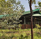 Arnhemland Barramundi Nature Lodge - Tourism Adelaide