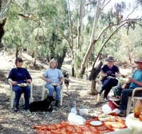 Bimbimbi And Little Hollow Farm Stay - Tourism Adelaide