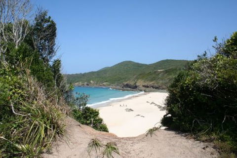 @ Forster - Tourism Adelaide 1