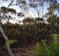Lions Dryandra Woodlands Village - Tourism Adelaide