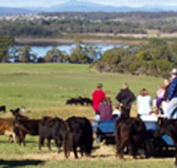 Bonny Brae - Tourism Adelaide