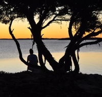  Willygunyah - Tourism Adelaide