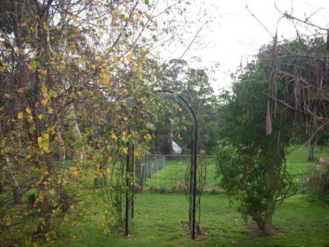 Whitelaw's Rest - Tourism Adelaide 1