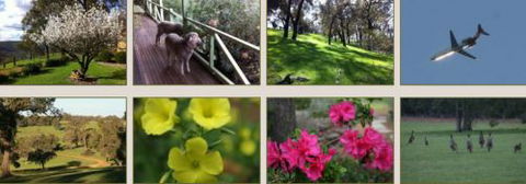 Moondyne Country Convention Centre - Tourism Adelaide 2