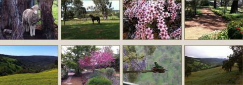 Moondyne Country Convention Centre - Tourism Adelaide 3
