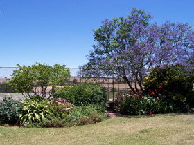 Chuckem Farm - Tourism Adelaide 0