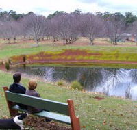 Chestnut Glade - Tourism Adelaide