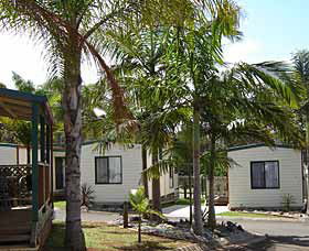 Port Macquarie Holiday Cabins - Tourism Adelaide 0
