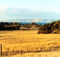 The Kona - Tourism Adelaide
