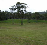 Mt White Lodge - Tourism Adelaide