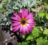 Kiewa Country Cottages - Tourism Adelaide