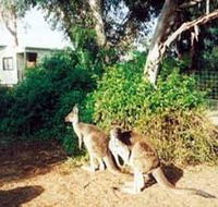 Avoca Dell Caravan Park - Tourism Adelaide