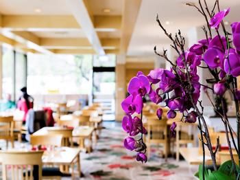 Pullman Melbourne On The Park - Tourism Adelaide 42