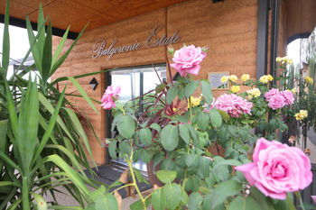 Balgownie Estate Vineyard & Spa - Tourism Adelaide 2