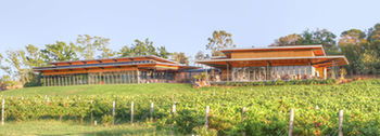 Balgownie Estate Vineyard & Spa - Tourism Adelaide 5