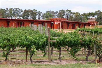 De'Vine Escape - Tourism Adelaide 4