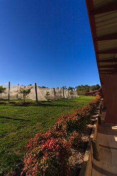 De'Vine Escape - Tourism Adelaide 5