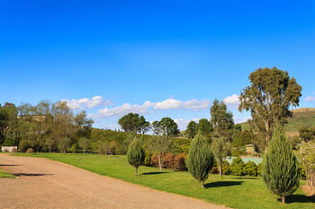 De'Vine Escape - Tourism Adelaide 15