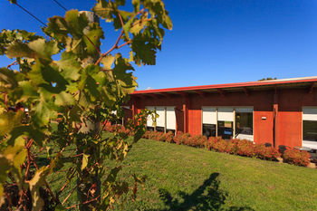 De'Vine Escape - Tourism Adelaide 18