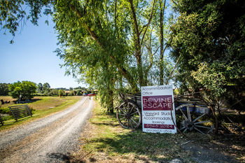 De'Vine Escape - Tourism Adelaide 22