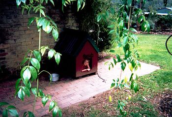 Kurrajong Trails And Cottages - Tourism Adelaide 2