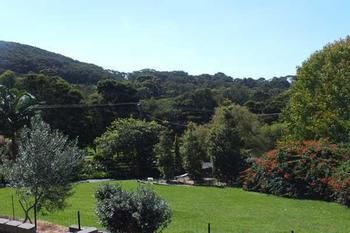 Terrigal Hinterland Bed And Breakfast - Tourism Adelaide 14