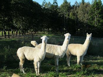 Beerwah QLD Tourism Adelaide
