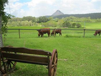 Blackwattle Farm B&B And Farm Stay - Tourism Adelaide 1