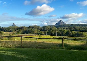 Blackwattle Farm B&B And Farm Stay - Tourism Adelaide 7