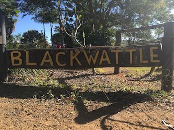 Blackwattle Farm B&B And Farm Stay - Tourism Adelaide 10