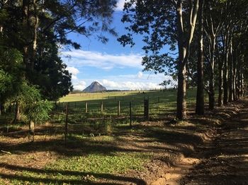 Blackwattle Farm B&B And Farm Stay - Tourism Adelaide 12