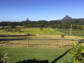 Blackwattle Farm B&B And Farm Stay - Tourism Adelaide 29