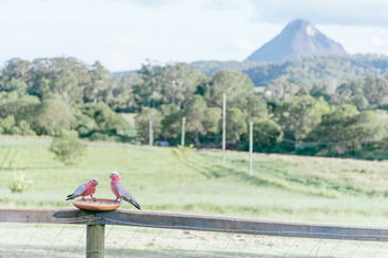 Blackwattle Farm B&B And Farm Stay - Tourism Adelaide 42