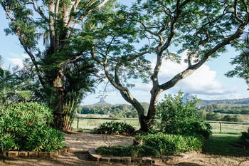 Blackwattle Farm B&B And Farm Stay - Tourism Adelaide 45
