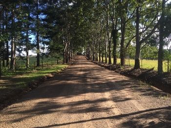Blackwattle Farm B&B And Farm Stay - Tourism Adelaide 46