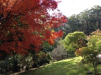Brentwood Accommodation - Tourism Adelaide 43