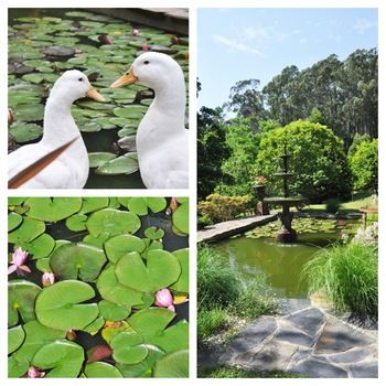 Brentwood Accommodation - Tourism Adelaide 65