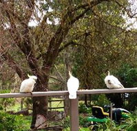 Australian Home Away  Wonga Park Brushy Creek - Tourism Adelaide